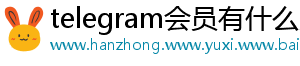 telegram会员有什么用